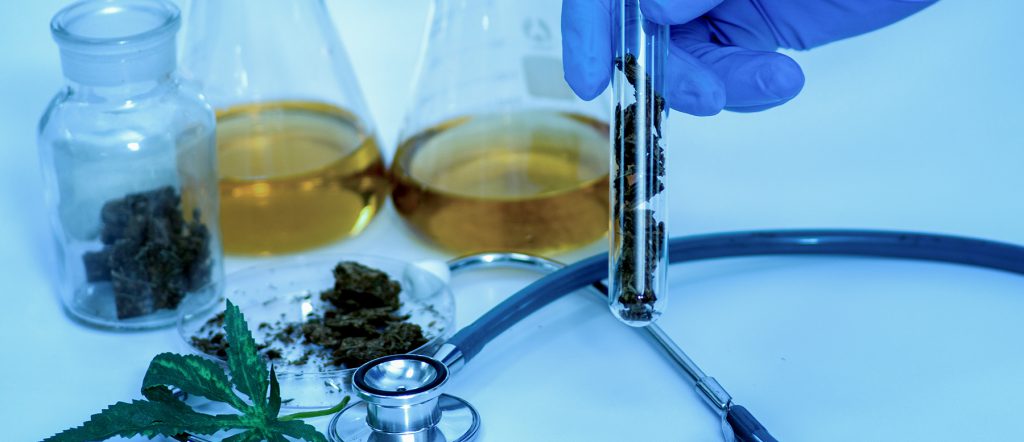 Kenevir Yağı Sağlık